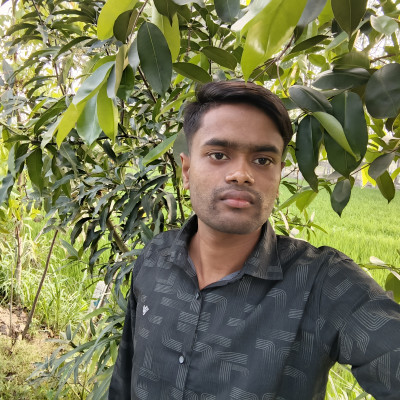 User